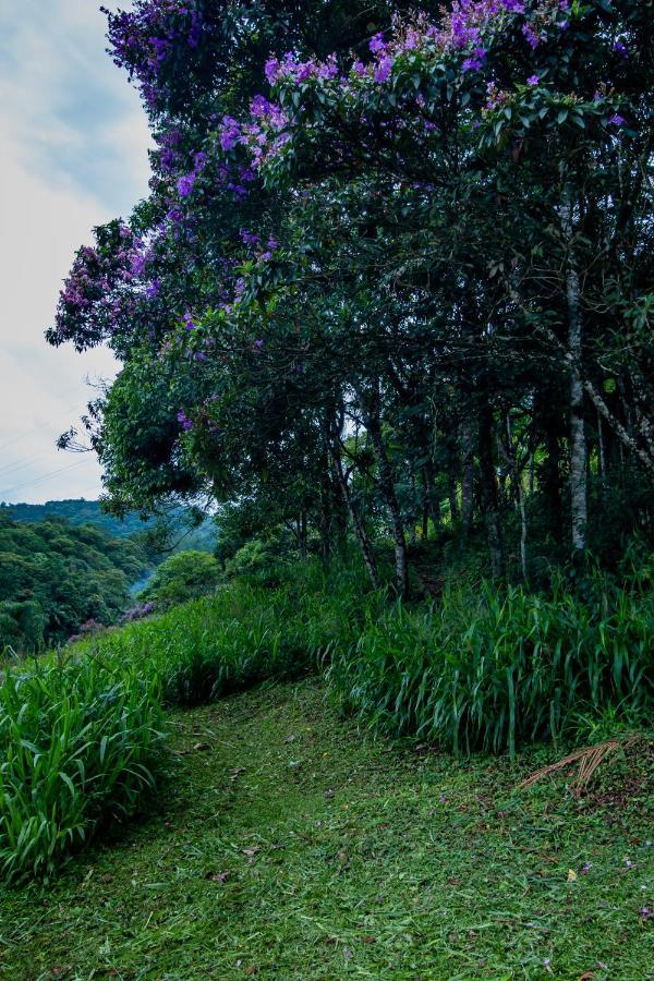 Casa Do Tesouro Βίλα Joinville Εξωτερικό φωτογραφία